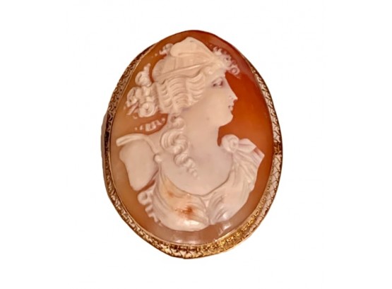 Shell Carved 10k Gold Filled Cameo Brooch Or Pendant