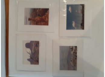 4 Western Photographs Matted And Signed