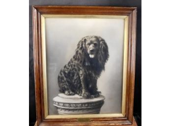 Antique 1889-1899 Black And White Dog Enlarged Photo Memorial Plaque