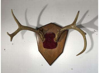 Vintage Antler Rack On Shield Shaped Back Board GREAT Decorator Item 'Hunting Lodge'