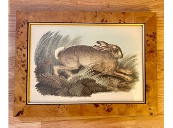 Hare In Ferns Print In Burled Wood Frame