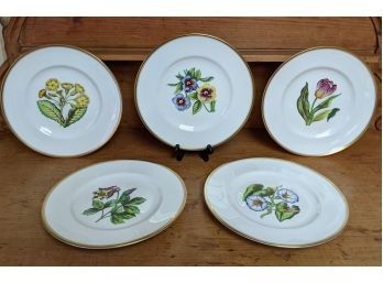 5  Royal Worcester Porcelain Circular Floral Decorated Cabinet Plates