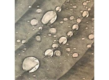 Rain Drops Photo Giclee On Watercolor Paper - Unframed