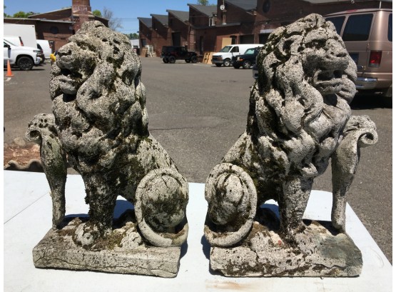 ABSOLUTELY  Incredible Pair Of Antique Cement Garden Lions AMAZING PATINA ! Wear & Moss WOW !