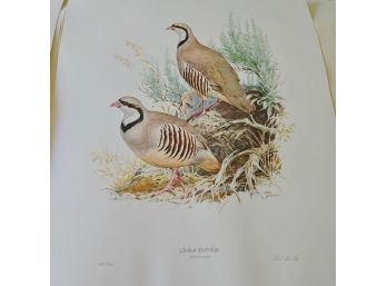 Ned Smith's 1965 Portfolio Of Game Birds - Pencil Signed & Numbered
