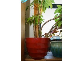 Large Red Glazed Planter W/Plant