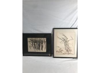 Two Pictures -   Black Charcoal Matted In Frame Of Trees (#73)