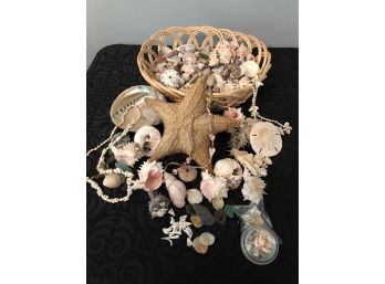 Beautiful BIG Seashell & Sea Glass Collection!
