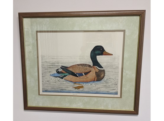 Magnificent  Large Pencil Signed Limited Edition Of Dan Mitra Print 'MALLARD DUCK'