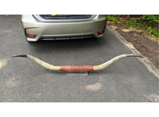 Vintage Super Long Steer Horns Mounted On Acrylic With Leather Wrapping And Super Cool.