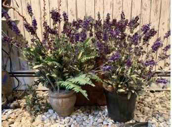 Nine Fake Lavender Plants