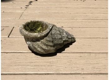 Cement Pot In Form Of A Seashell