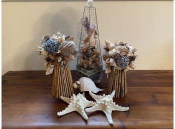 Shell Decor