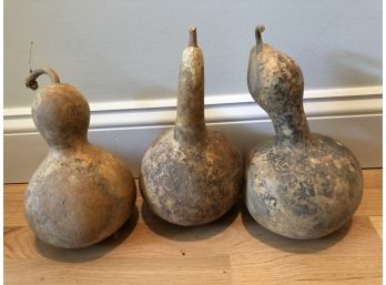 3 Gourds