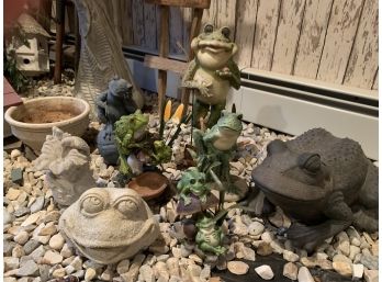 Group Of Adorable Garden Frogs