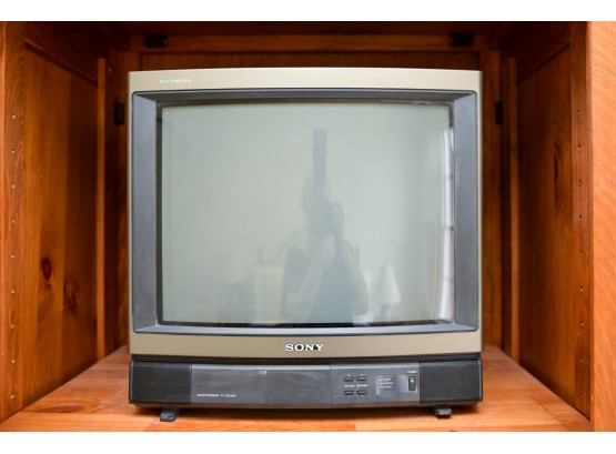 Sony Trinitron Color Television With Remote And Sony DVD Player/Video Cassette Recorder With Remote