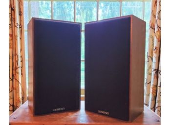 Vintage Pair Of Physics Genesis Wood Tower Speakers