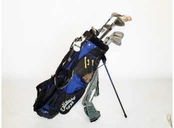 Golf Clubs In Bag