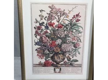 Pair Of Framed Flower  Arrangement Prints