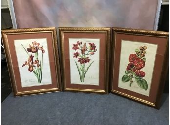 Bombay Co. Very Large Set Of 3 Floral Prints
