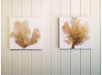 Pair Coral Themed Canvas Prints