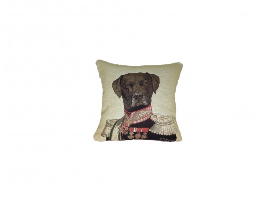 Fashion Dogs,V Decorative Pillow Case Only