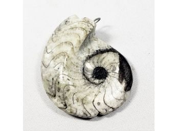 Interesting Ammonite Stone Pendant