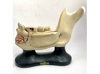 1920's Jaw Bone Dental Medical Model Turtox Latex Models Heavy Paper Mache
