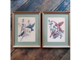 Pair (2) Vintage Framed Bird Prints (McIntosh)