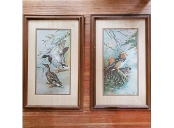 BASIL EDE! (2) Vintage Framed Duck Prints - Cabin / Lodge / Library Decor