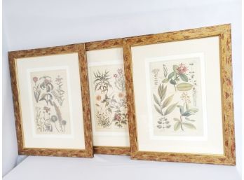 Set Of Three Framed Floral Wood Framed Wall Art Prints 21' X 27'