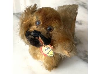 Vintage 1950s-1960s STEIFF Mohair 'Peky' Pekinese With Button & Chest Tag