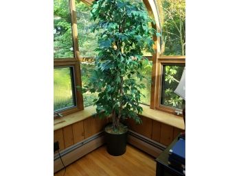 Tall Faux Ficus Tree With Decorative Pot