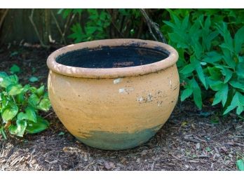 16” Rolled Rim Hand Painted Terracotta Pot Planter