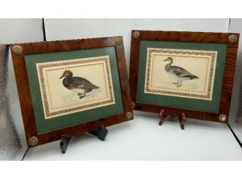 2 Antique Duck Prints