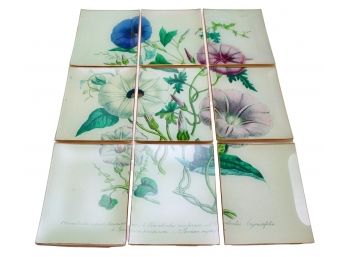 Imported Twos Company 9 Plate Botanical Display NEW