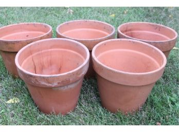 5 Awesome Terracotta Planting Pots!