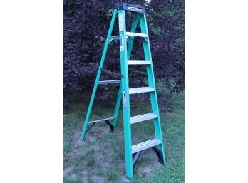 Great WERNER Fiberglass 6' Ladder!