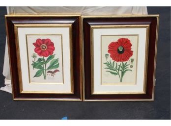 Gorgeous Pair Of 19th Century Botanical Flower Framed Art - Reproductions