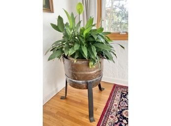 Large Peace Lily In Hammered Metal Tub With Stand