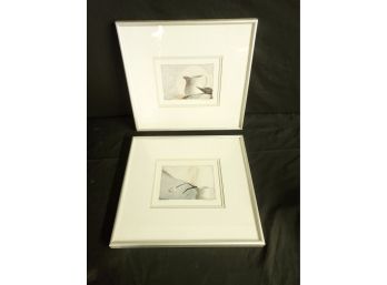 Two Judy Mandolf Signed Framed Prints - Pink Bud & Last Tulip