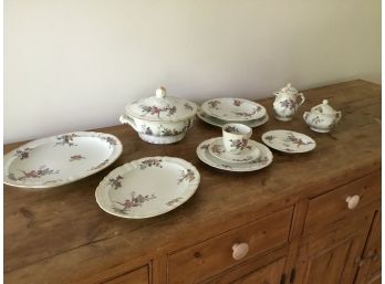 Bernardaud Limoges “bengali”  76 Pieces  China Set