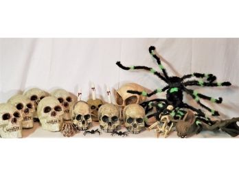 Halloween Skulls, Spiders, And More