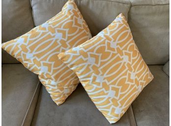 Pair Of Decorative Throw Pillows