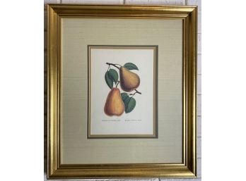 Gorgeous Pear Print, Custom Triple-Matted & Framed