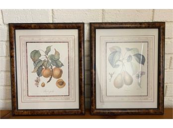 Lovely Pair Of Framed Botanical Prints, Peach & Pear