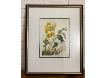 Elegant Floral Botanical Print, Matted & Framed