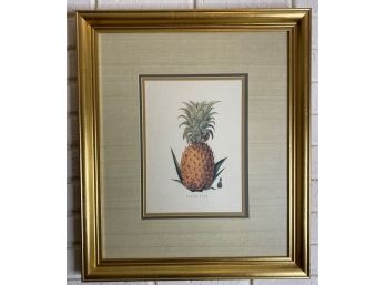 Spectacular Triple-Matted, Gilt-Framed Pineapple Print