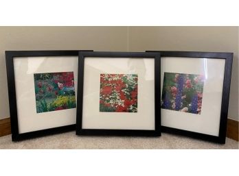 Trio Of Matted & Framed Floral Landscape Photographs, 1 Of 3