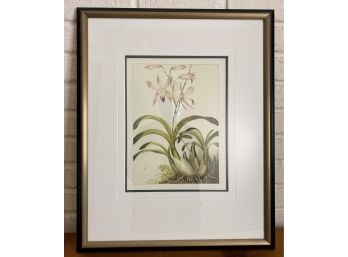 Floral Botanical Print, Matted & Framed Iris